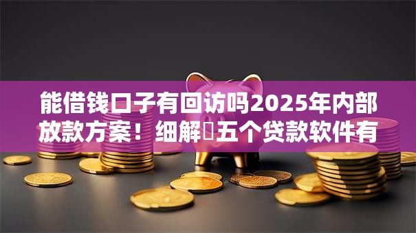 能借钱口子有回访吗2025年内部放款方案！细解​五个贷款软件有回访功能