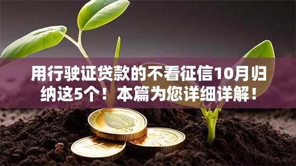 用行驶证贷款的不看征信10月归纳这5个！本篇为您详细详解！