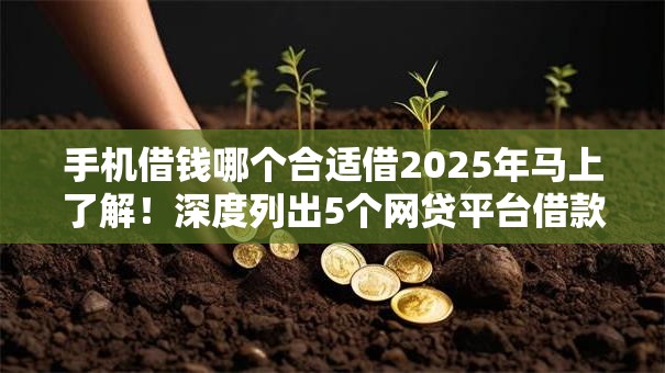 手机借钱哪个合适借2025年马上了解！深度列出5个网贷平台借款很合适