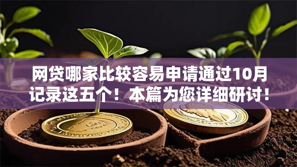 网贷哪家比较容易申请通过10月记录这五个！本篇为您详细研讨！