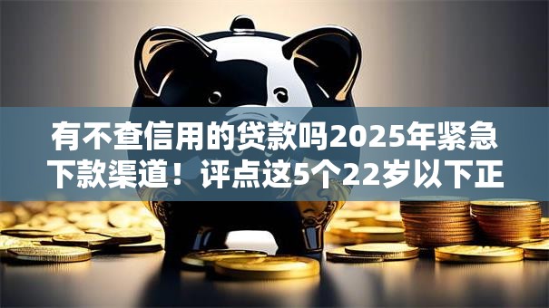 有不查信用的贷款吗2025年紧急下款渠道！评点这5个22岁以下正规贷款平台