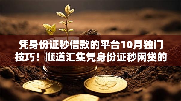 凭身份证秒借款的平台10月独门技巧！顺道汇集凭身份证秒网贷的软件