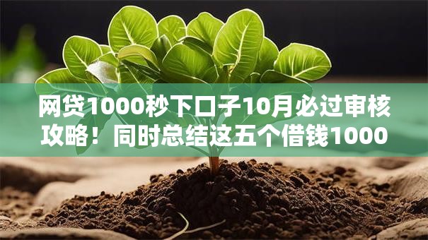 网贷1000秒下口子10月必过审核攻略！同时总结这五个借钱1000秒平台下软件