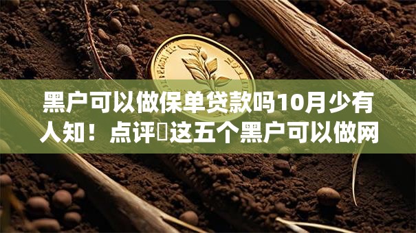 黑户可以做保单贷款吗10月少有人知！点评​这五个黑户可以做网贷借款通过app