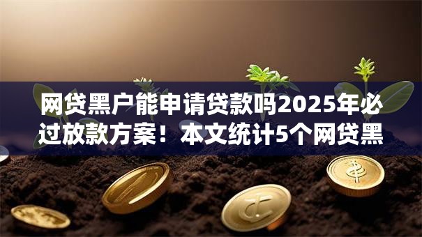网贷黑户能申请贷款吗2025年必过放款方案！本文统计5个网贷黑户借钱口子能申请