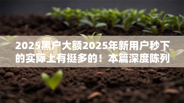 2025黑户大额2025年新用户秒下的实际上有挺多的！本篇深度陈列这五个网贷软件！
