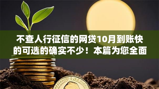 不查人行征信的网贷10月到账快的可选的确实不少！本篇为您全面评析这5个借款app！