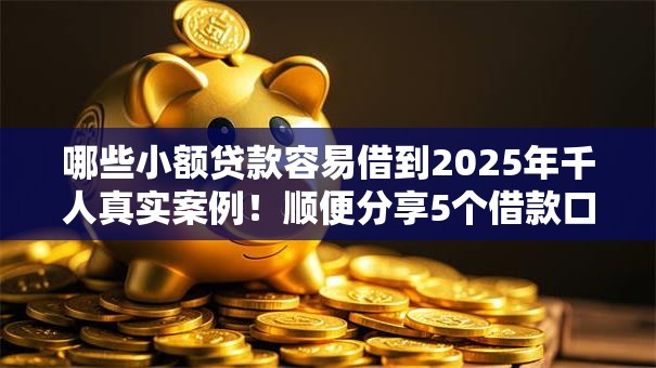 哪些小额贷款容易借到2025年千人真实案例！顺便分享5个借款口子容易通过软件借钱