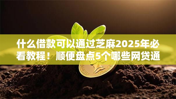什么借款可以通过芝麻2025年必看教程！顺便盘点5个哪些网贷通过芝麻平台借钱