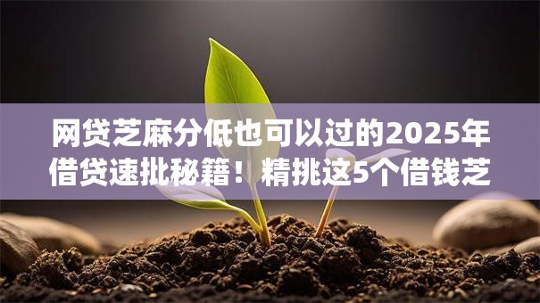 网贷芝麻分低也可以过的2025年借贷速批秘籍！精挑这5个借钱芝麻分低也可以过的app