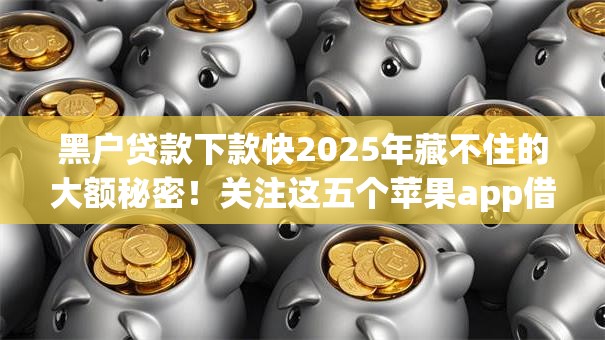黑户贷款下款快2025年藏不住的大额秘密！关注这五个苹果app借钱软件排名