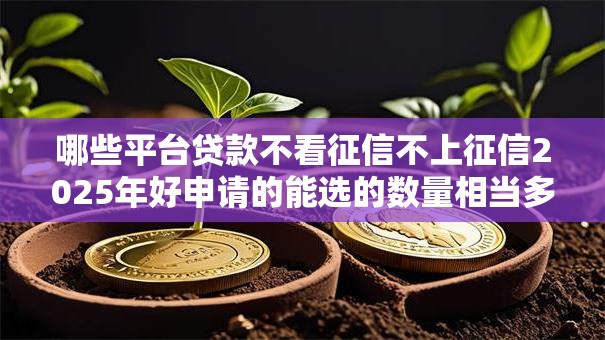 哪些平台贷款不看征信不上征信2025年好申请的能选的数量相当多！今天为您全面归档这五个借款软件！