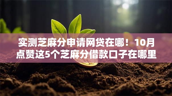 实测芝麻分申请网贷在哪！10月点赞这5个芝麻分借款口子在哪里