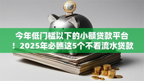 今年低门槛以下的小额贷款平台！2025年必瞧这5个不看流水贷款万