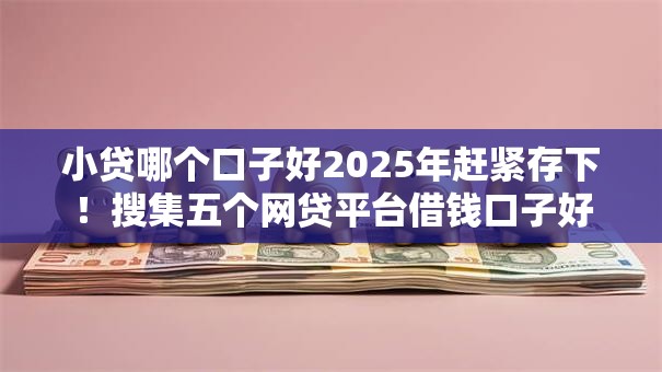小贷哪个口子好2025年赶紧存下！搜集五个网贷平台借钱口子好
