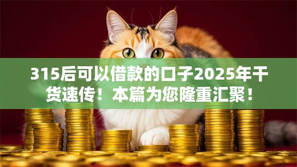 315后可以借款的口子2025年干货速传！本篇为您隆重汇聚！