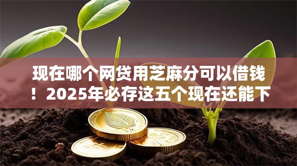 现在哪个网贷用芝麻分可以借钱！2025年必存这五个现在还能下款