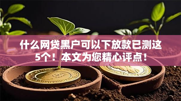 什么网贷黑户可以下放款已测这5个！本文为您精心评点！