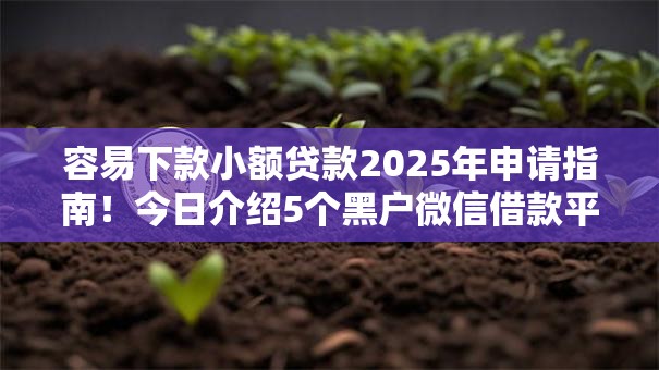 容易下款小额贷款2025年申请指南！今日介绍5个黑户微信借款平台