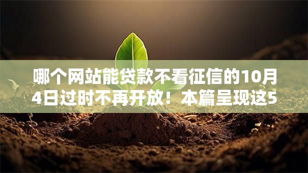 哪个网站能贷款不看征信的10月4日过时不再开放！本篇呈现这5个借钱口子不看征信的就行