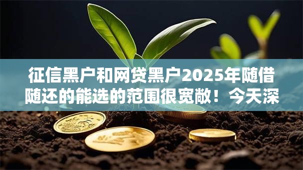 征信黑户和网贷黑户2025年随借随还的能选的范围很宽敞！今天深度更新这五个黑户贷款平台！
