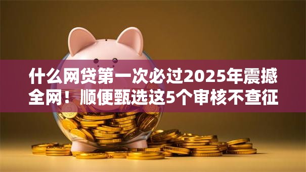 什么网贷第一次必过2025年震撼全网！顺便甄选这5个审核不查征信的分期
