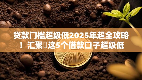 贷款门槛超级低2025年超全攻略！汇聚​这5个借款口子超级低