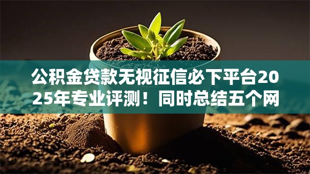 公积金贷款无视征信必下平台2025年专业评测！同时总结五个网贷无视征信借钱口子必下