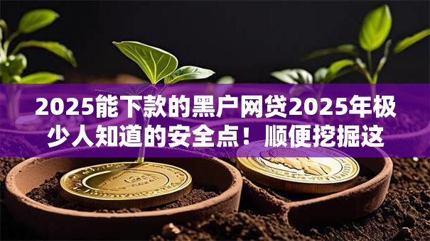 2025能下款的黑户网贷2025年极少人知道的安全点！顺便挖掘这五个2025能借的黑户平台款