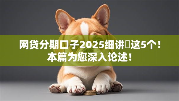 网贷分期口子2025细讲​这5个！本篇为您深入论述！