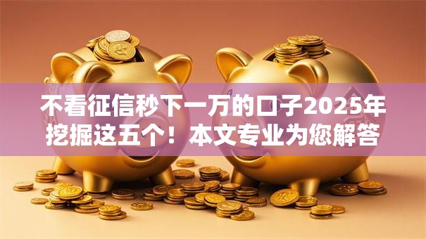 不看征信秒下一万的口子2025年挖掘这五个！本文专业为您解答！