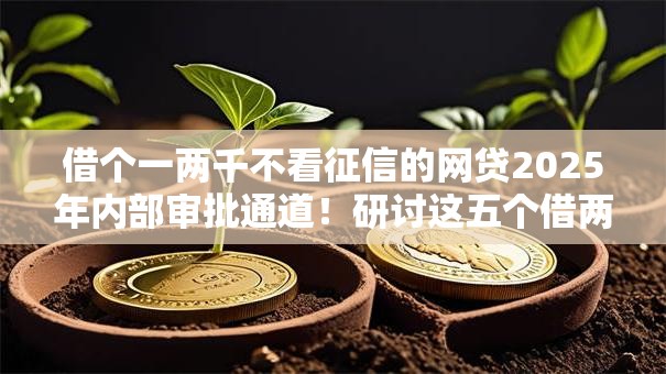 借个一两千不看征信的网贷2025年内部审批通道！研讨这五个借两千无征信手机贷款口子
