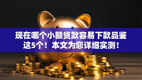 现在哪个小额贷款容易下款品鉴这5个！本文为您详细实测！