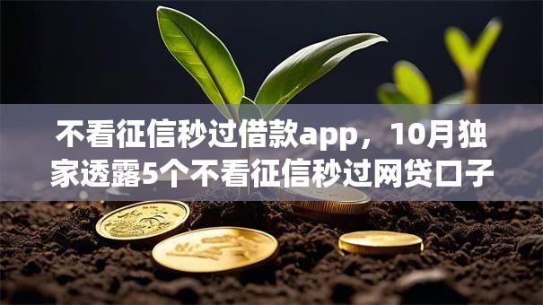 不看征信秒过借款app，10月独家透露5个不看征信秒过网贷口子
