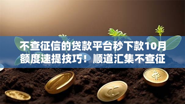 不查征信的贷款平台秒下款10月额度速提技巧！顺道汇集不查征信的网贷口子秒借钱