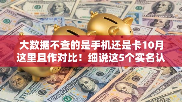大数据不查的是手机还是卡10月这里且作对比!细说这5个实名认证身份证2025最新 大数据不查的是手机还是卡10月这里且作对比!细说这5个实名认证身份证2025最新