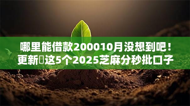 哪里能借款200010月没想到吧！更新​这5个2025芝麻分秒批口子