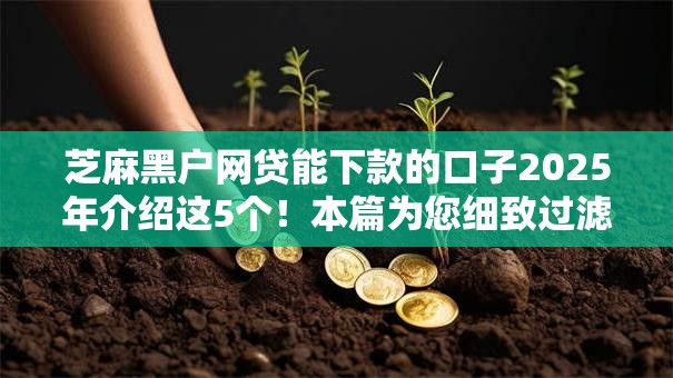 芝麻黑户网贷能下款的口子2025年介绍这5个！本篇为您细致过滤！