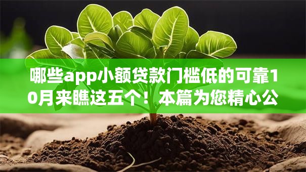 哪些app小额贷款门槛低的可靠10月来瞧这五个！本篇为您精心公开！