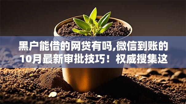 黑户能借的网贷有吗,微信到账的10月最新审批技巧！权威搜集这五个黑户借钱口子微信到账的