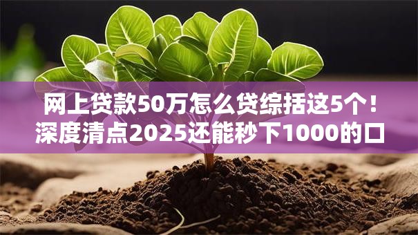 网上贷款50万怎么贷综括这5个！深度清点2025还能秒下1000的口子