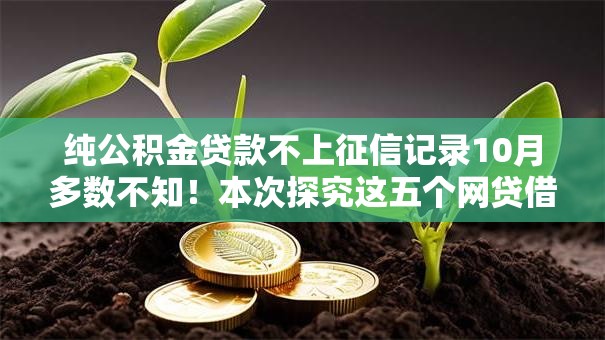 纯公积金贷款不上征信记录10月多数不知!本次探究这五个网贷借钱不上征信记录平台 纯公积金贷款不上征信记录10月多数不知!本次探究这五个网贷借钱不上征信记录平台