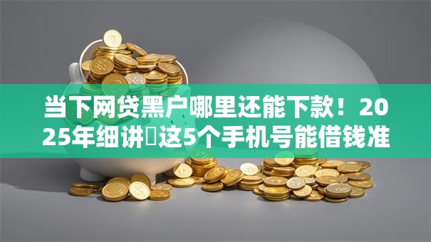 当下网贷黑户哪里还能下款！2025年细讲​这5个手机号能借钱准不
