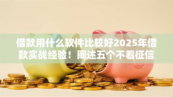 借款用什么软件比较好2025年借款实战经验！阐述五个不看征信芝麻分的秒批贷款