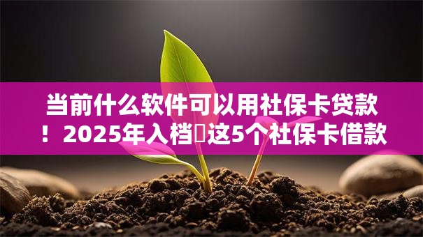 当前什么软件可以用社保卡贷款！2025年入档​这5个社保卡借款的平台可以用