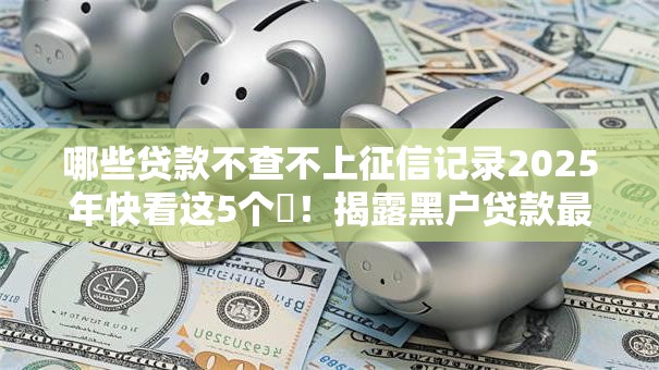 哪些贷款不查不上征信记录2025年快看这5个​！揭露黑户贷款最快的