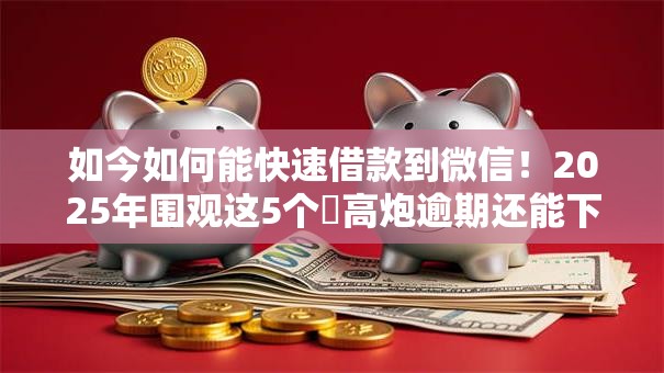 如今如何能快速借款到微信！2025年围观这5个​高炮逾期还能下款的口子