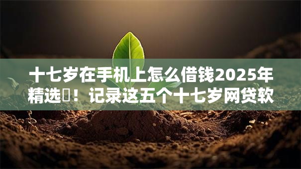 十七岁在手机上怎么借钱2025年精选​！记录这五个十七岁网贷软件如何贷款