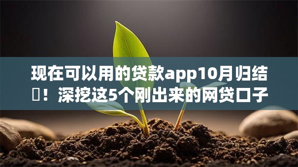 现在可以用的贷款app10月归结​！深挖这5个刚出来的网贷口子征信不好