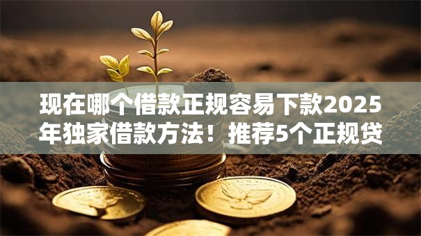 现在哪个借款正规容易下款2025年独家借款方法！推荐5个正规贷款平台容易下款借钱
